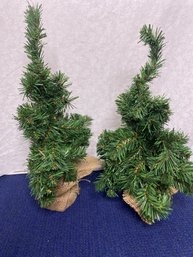 2 Small Trees