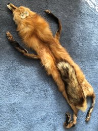 Fox Pelt