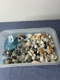 Seashells & Rocks