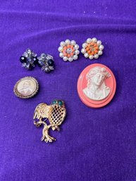 Vintage Bundle Of Jewelry - Clip Ons And Pins