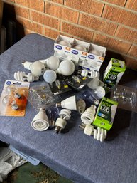 Light Bulb Bundle