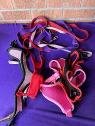 Dog Harnesses And Leashes