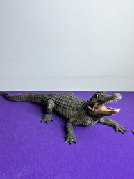 Young And Swift Alligator