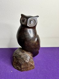 Wood Owl