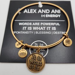 NWT Alex & Ani It Is What It Is Russian Gold Charm Bracelet