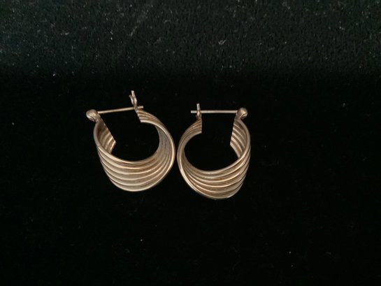 Pair Of 14 Kt Gold Earrings