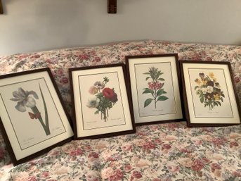 Framed & Matted Flowers