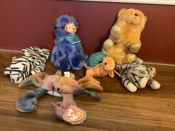 Beanie Baby Grouping