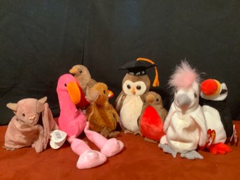 ASSORTMENT OF BEANIE BABY COLLECTIBLES