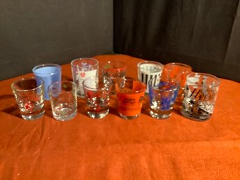 11 Piece Shot Glass Collection