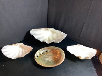 Large Shell Serving Dishes