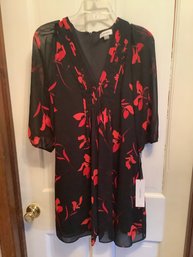 Calvin Klein.Dress Size 10P