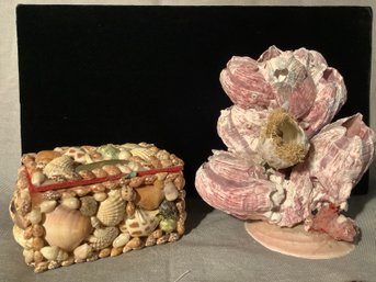 The Barnacles And The Shell Box