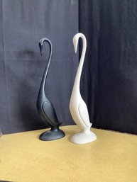 Pair Of Black & White Swans