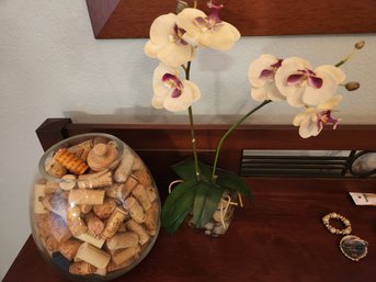 Live Orchid Plant, Flower, Tropical, Large Vase Full Of Corks