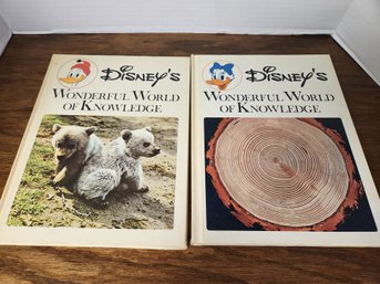 2 Vintage Disney Animal Books, Children's 1971 Wonderful World Knowledge