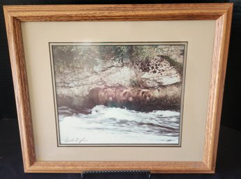 Dick Cunningham Nature Print, Bears, Colorado Artist Photographer, Framed Matted, 16' X 13'