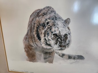 'Silent Stalk' LE Print 12/950 1997, Tiger In Snow, Colorado Photographer Artist, Wildlife Nature, Art Accent