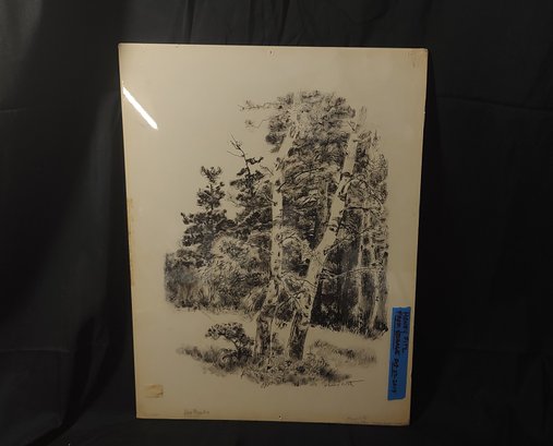 Henry C. Pitz Original Pen Sketch - 'Drawing Trees'