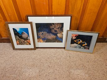 Lot Of Ocean Photography