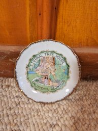 California Redwoods Collectible Plate