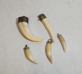 Animal Tusk/Tooth Pendants