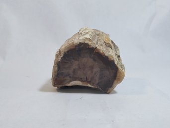 Petrified Wood