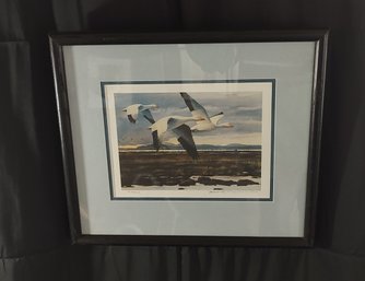 F.W. Thomas Signed And Numbered Goose Print