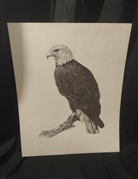 S. Langford Signed And Numbered Eagle Print