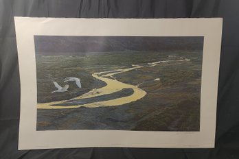 Robert Bateman Signed And Numbered  'Above The River - Trumpeter Swans' Lithograph