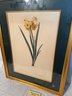 P-6 Narcissus Botanical Litho Print In Gilt Frame, 28'xz22'