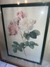 P-10 Rose Family Botanical Print, In Nice Gilt 29'x23' Frame