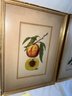 O-1 Lot Of 2 Botanical Fruit Still Life Lithographs, Each In A 14'x10' Frame