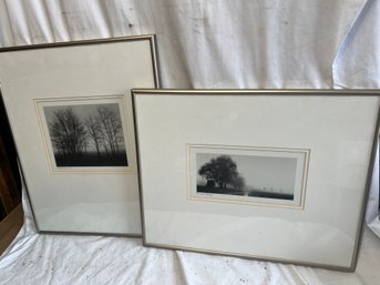 P-45 Lot Of 2 Modern Photos In Frames Depicting Trees, 'Early Spring' And 'Gathering Trees'