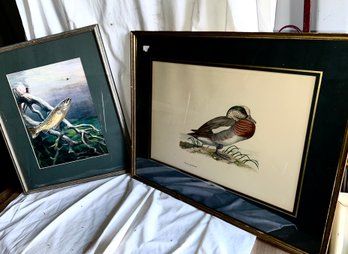 P-17 2 Framed Wildlife Litho Prints Incl Wood Duck And A Brown Trout