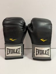 Everlast Boxing Gloves 14oz Ever Fresh