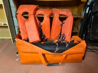 Zodiac Professional Life Boat With 2 Oars And Pump