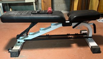 Nautilus Workout Bench And Weights