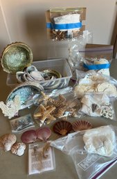 Shells: Starfish, Seahorses, Abalone, Scalloped Shells, Coral, Sand Dollars, Sea Fan And More