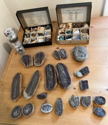 Minerals And Fossils