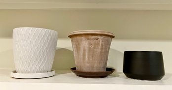 Planters: Ben Wolfe, Succulent And Orchid Pot