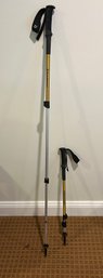 Black Diamond Walking Sticks