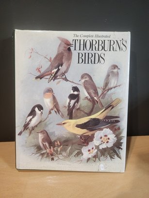 Thorburns Book On Birds