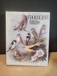 Thorburns Book On Birds