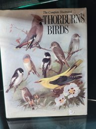 Thorburn's Birds Book