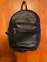 Black Backpack Bass