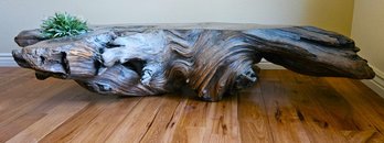 Unique One-of-a-kind Artisan Driftwood Coffee Table