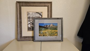 Set Of Two Professionally Framed, Matted Prints