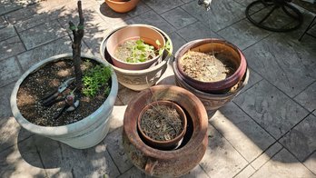 Set Of Outdoor Planters: Ceramic, Plastic, Terracotta. Includes Gardening Tools And Garden Frog Stake