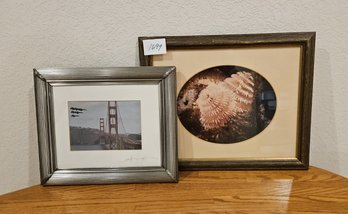 Two Framed And Matted Prints: San Francisco Bay Bridge And Sea Shell